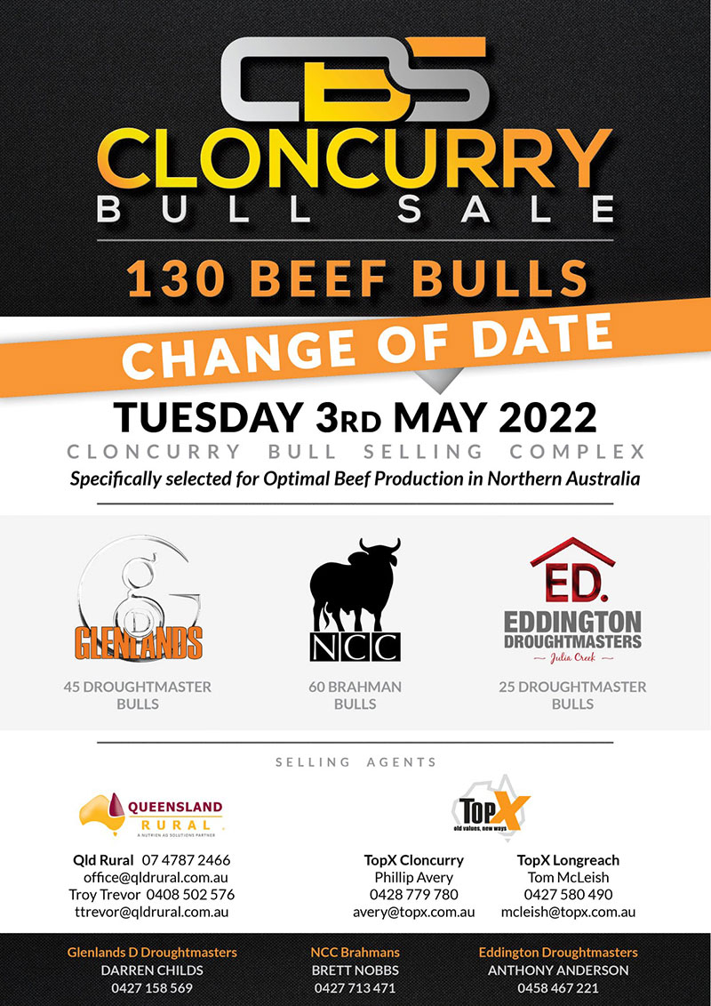 Cloncurry Bull Sale 2022